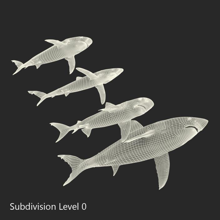 Sharks Collection 3 3D model