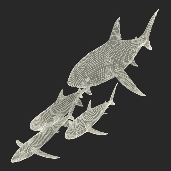 Sharks Collection 3 3D model