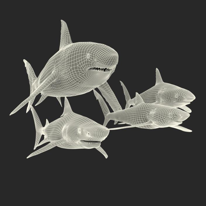 Sharks Collection 3 3D model