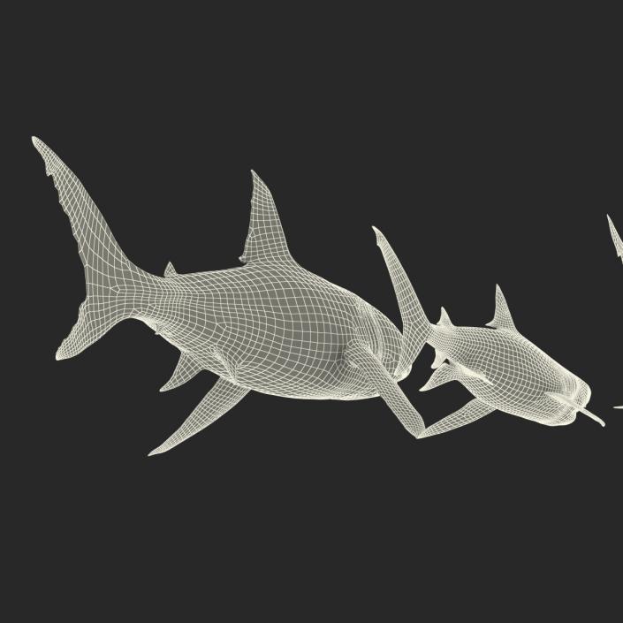 Sharks Collection 3 3D model