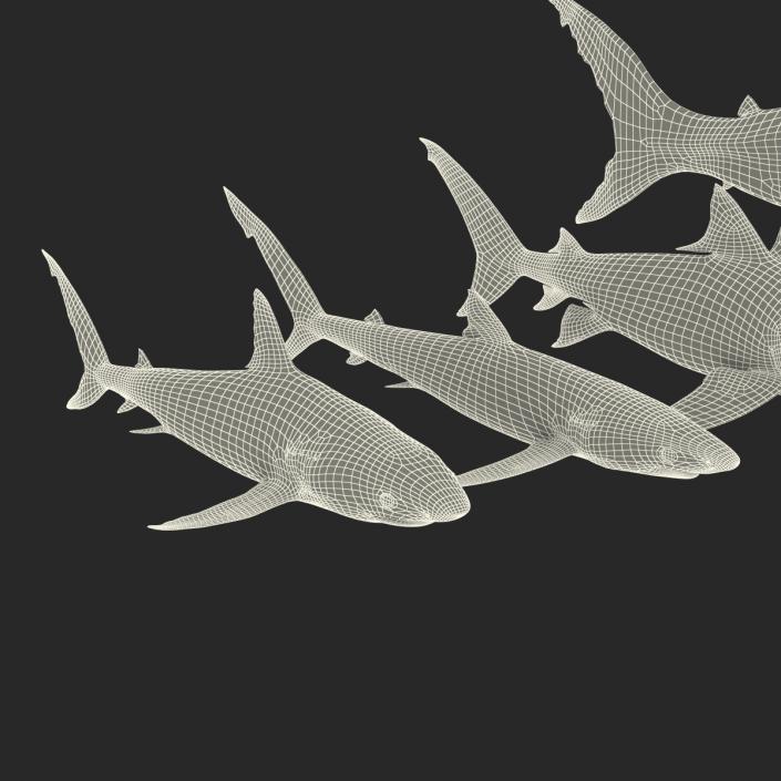 Sharks Collection 3 3D model