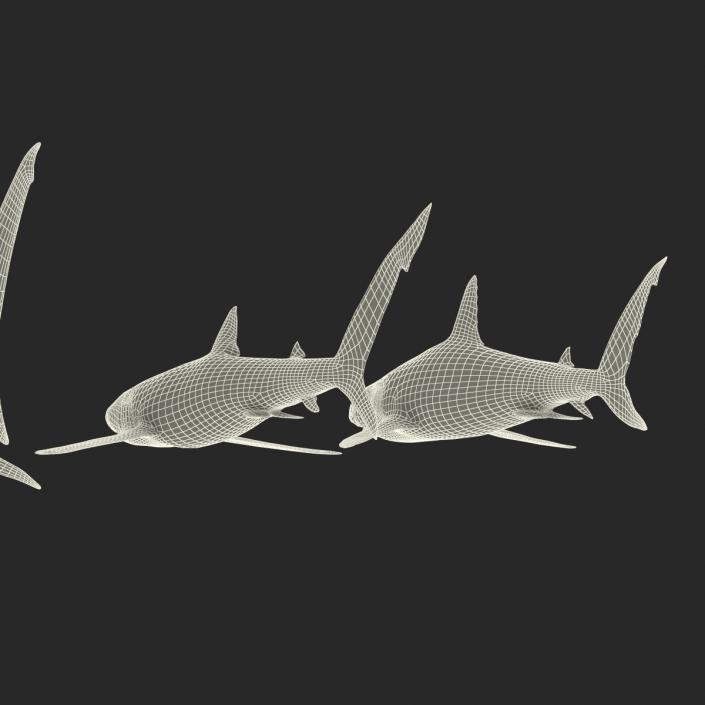 Sharks Collection 3 3D model