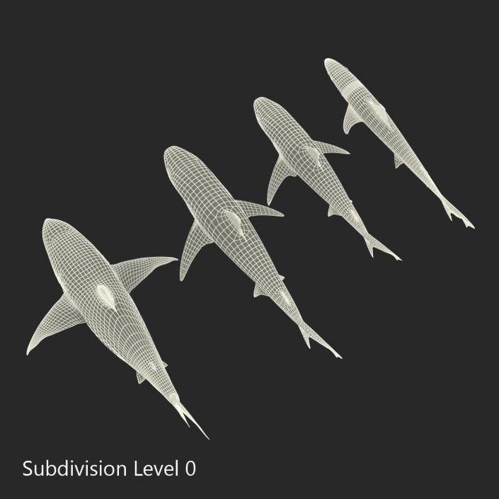 Sharks Collection 4 3D model