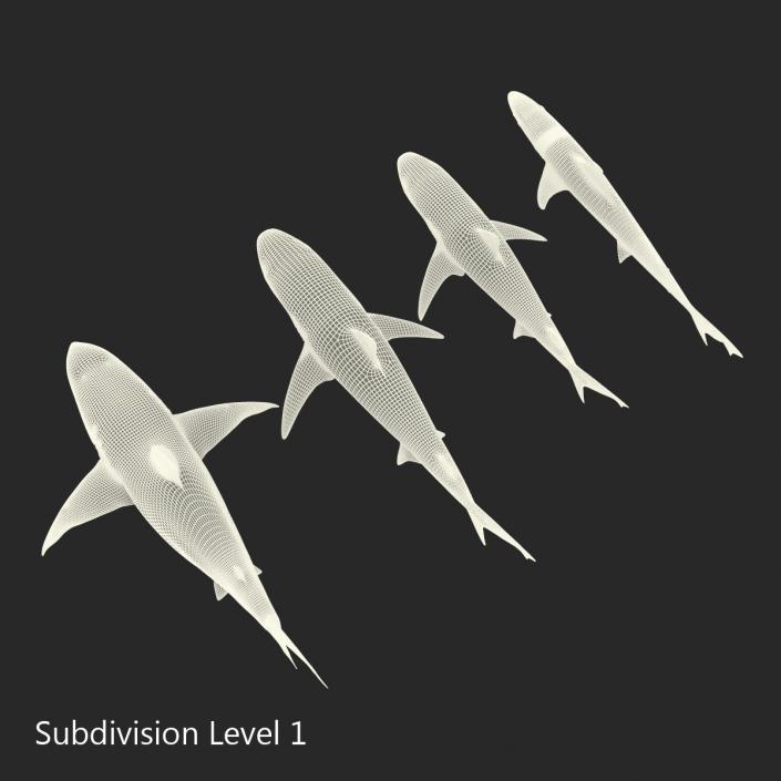 Sharks Collection 4 3D model