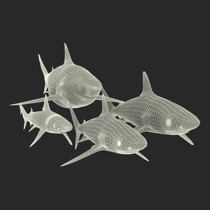 Sharks Collection 4 3D model