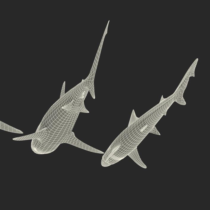 Sharks Collection 4 3D model