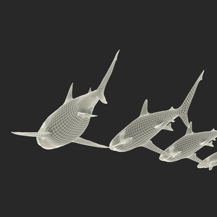 Sharks Collection 4 3D model