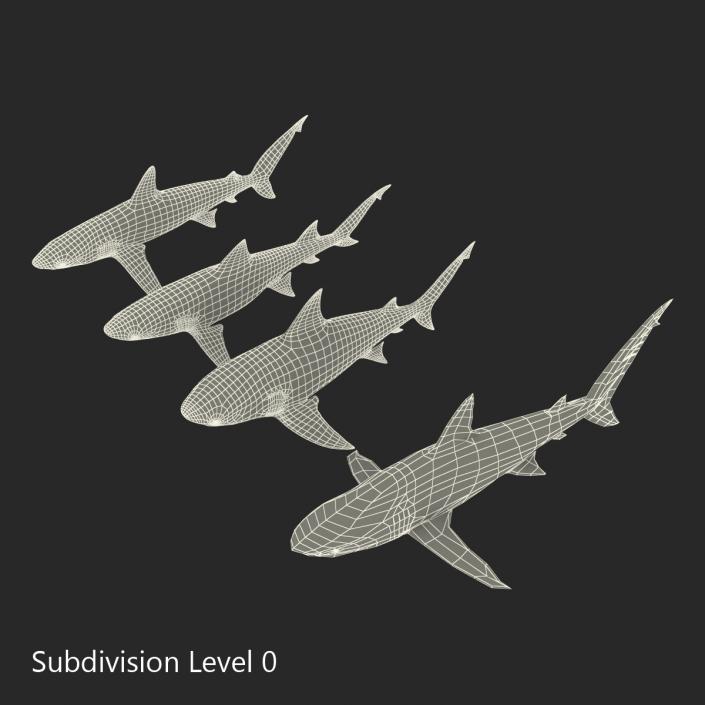 Sharks Collection 5 3D model