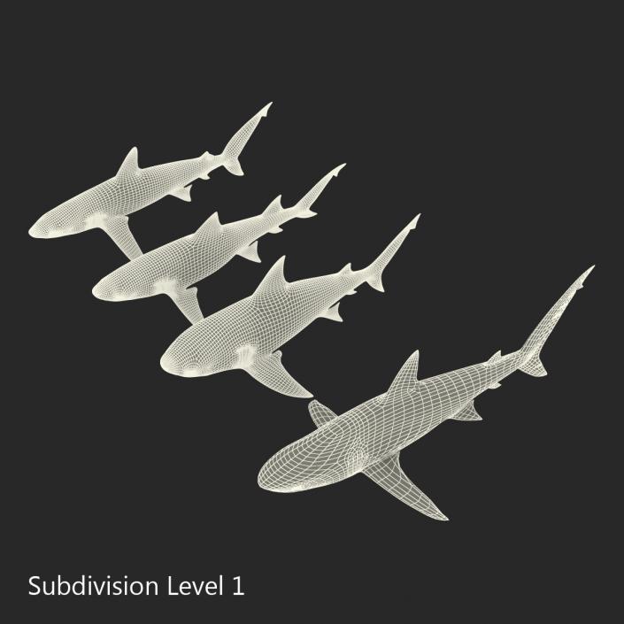 Sharks Collection 5 3D model