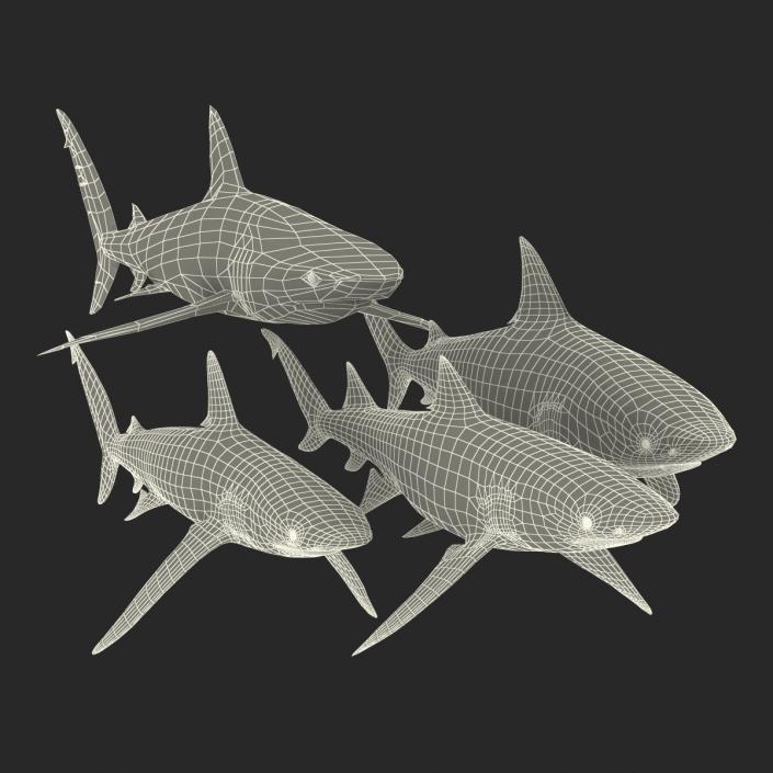 Sharks Collection 5 3D model