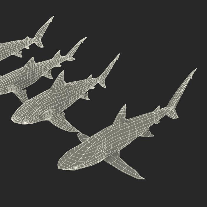 Sharks Collection 5 3D model