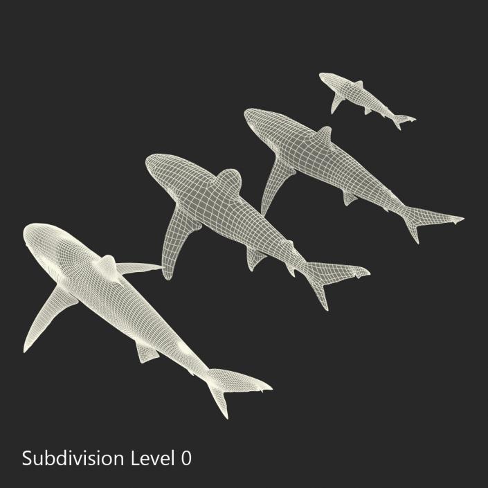 Sharks Collection 6 3D model