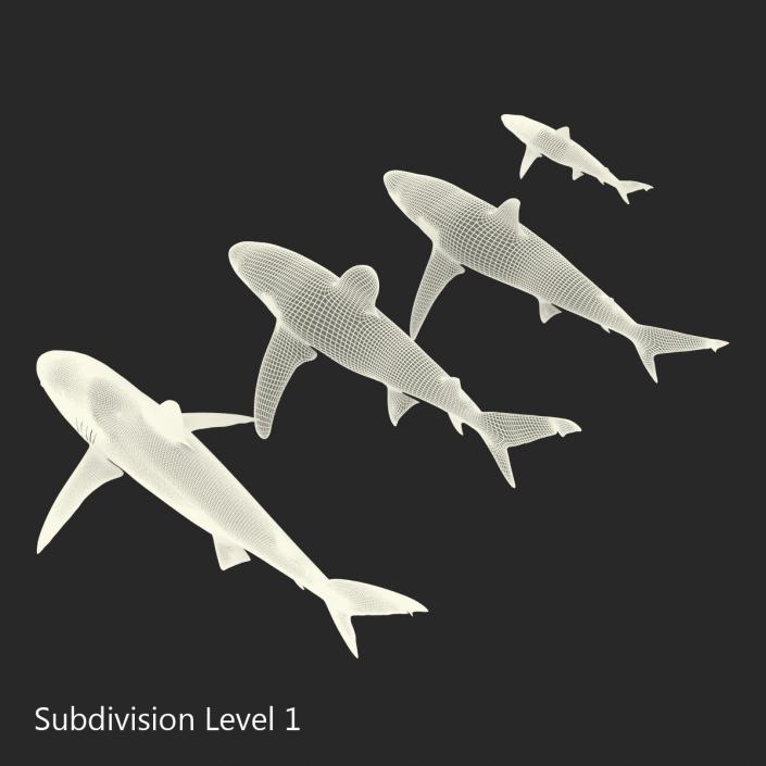 Sharks Collection 6 3D model