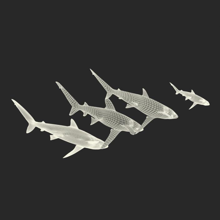 Sharks Collection 6 3D model