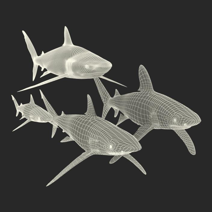 Sharks Collection 6 3D model