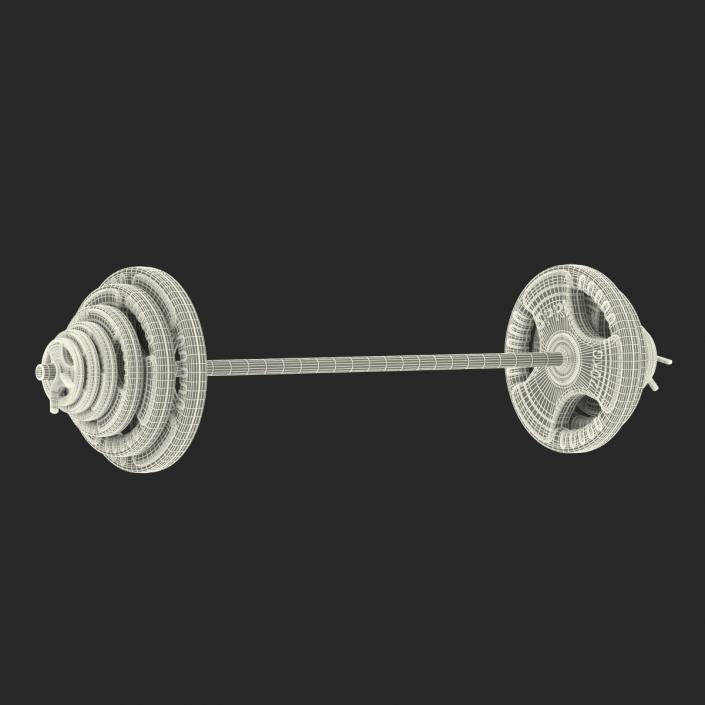 3D model Barbell and Plates 2