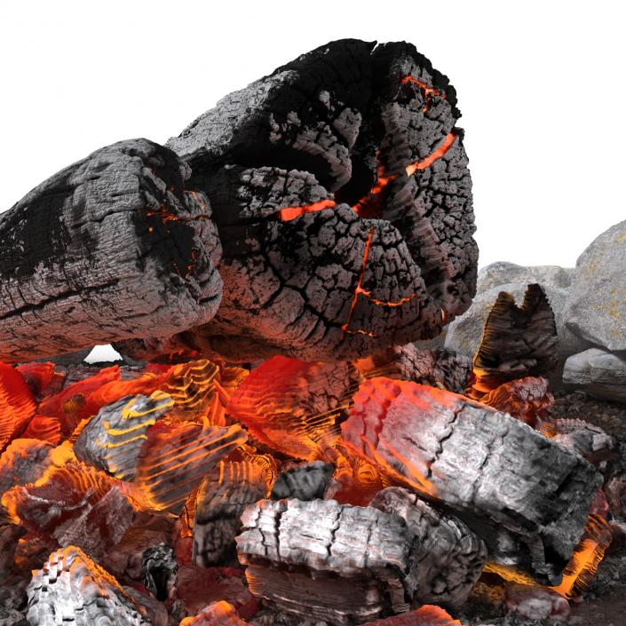 Campfire Pit 3D