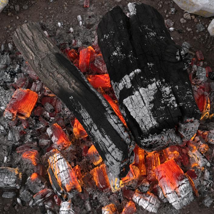 Campfire Pit 3D