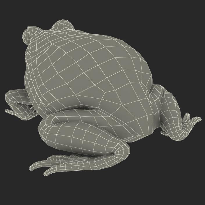 3D Tomato Frog Rigged model