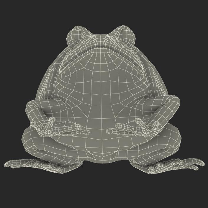 3D Tomato Frog Rigged model