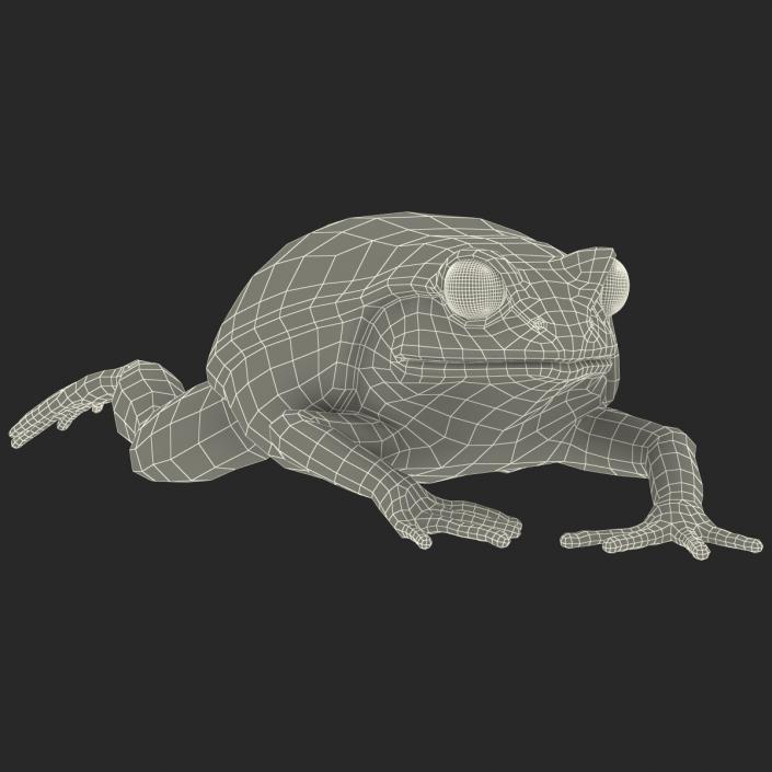 3D Tomato Frog Rigged model