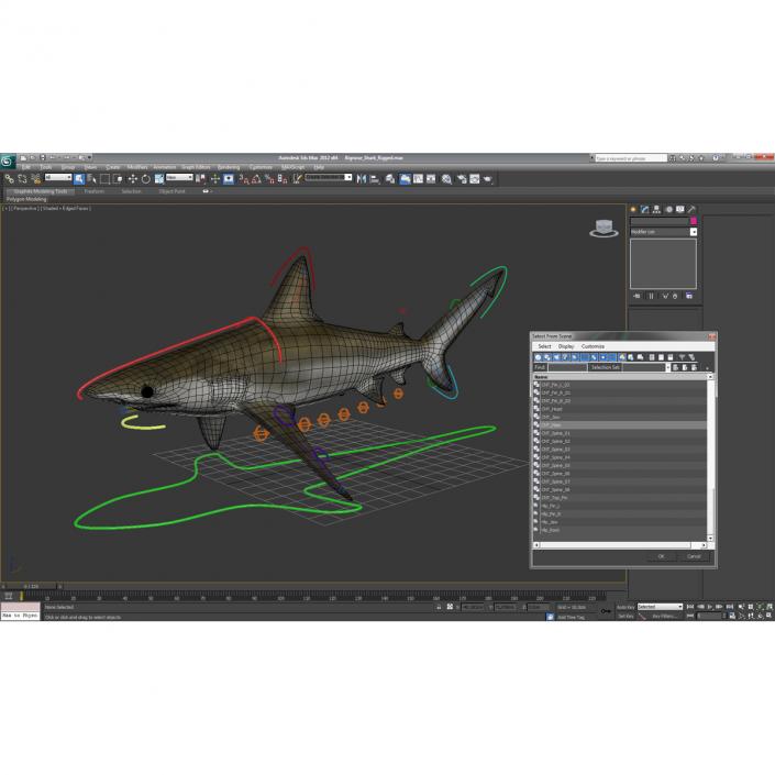 3D model Bignose Shark Rigged