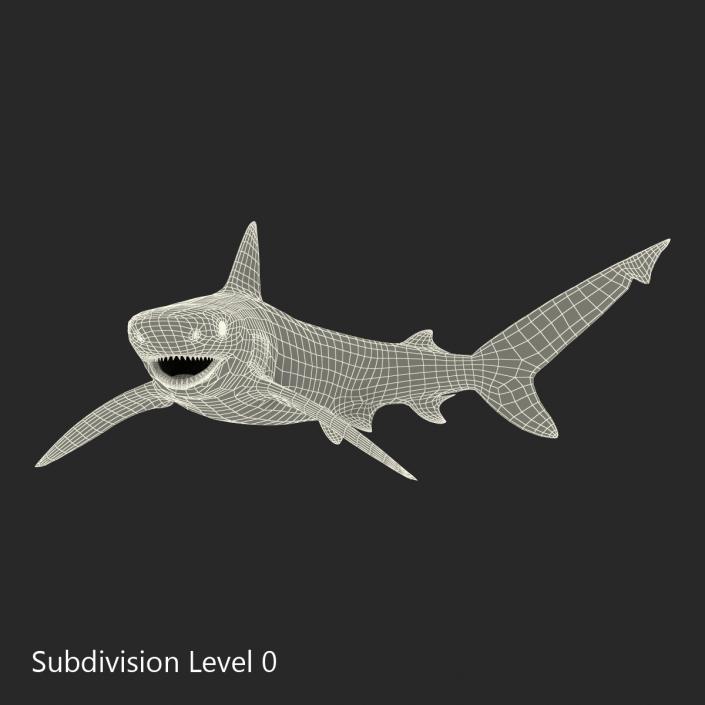 3D model Bignose Shark Pose 2