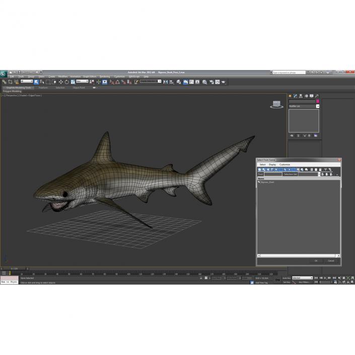 3D model Bignose Shark Pose 2