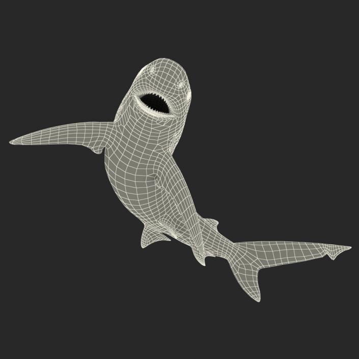 3D model Bignose Shark Pose 2