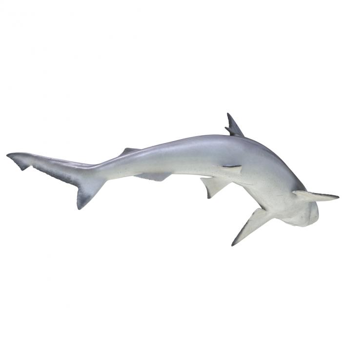 Spadenose Shark Pose 2 3D