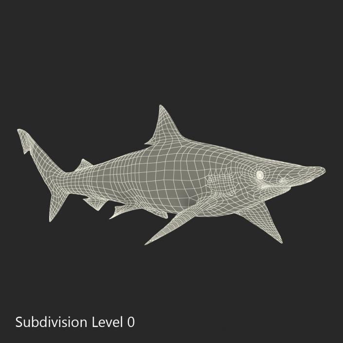 Spadenose Shark Rigged 3D