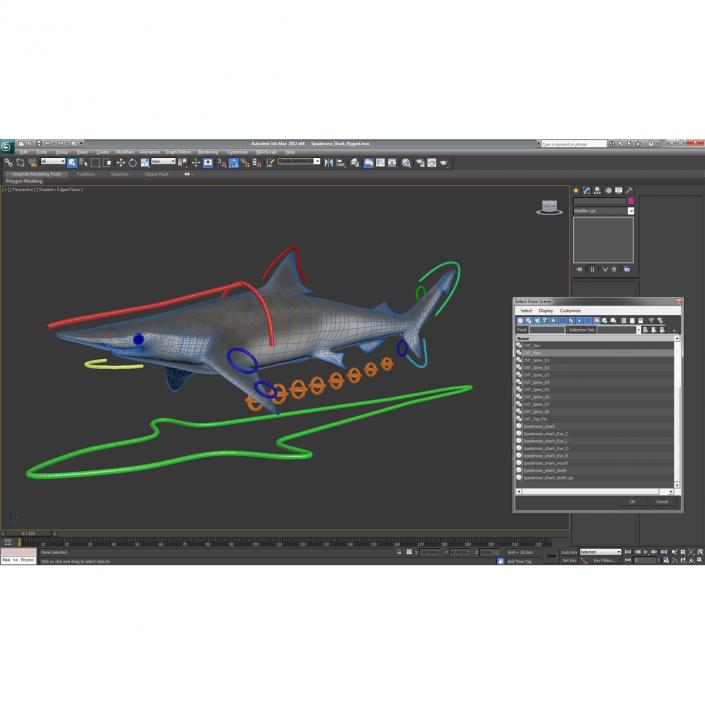 Spadenose Shark Rigged 3D