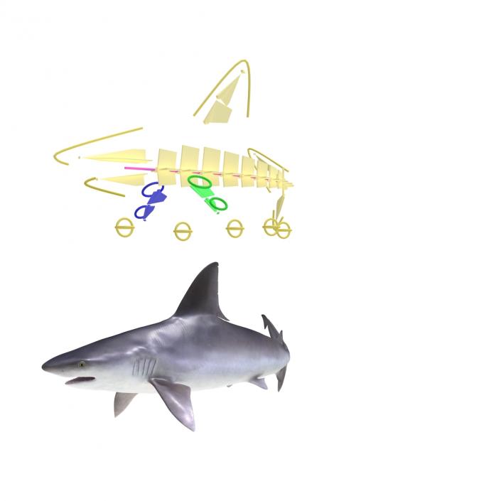 3D model Sandbar Shark Rigged