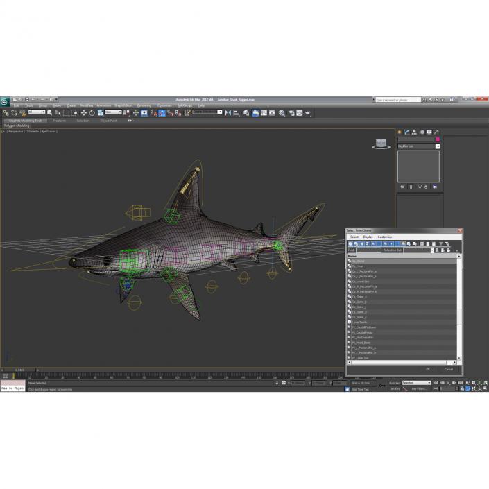 3D model Sandbar Shark Rigged