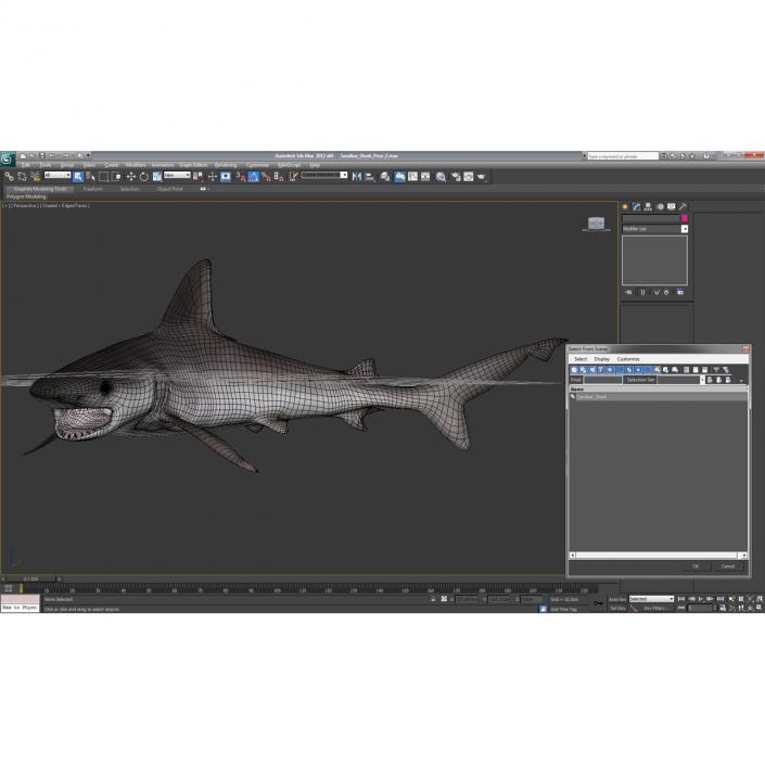 3D model Sandbar Shark Pose 2