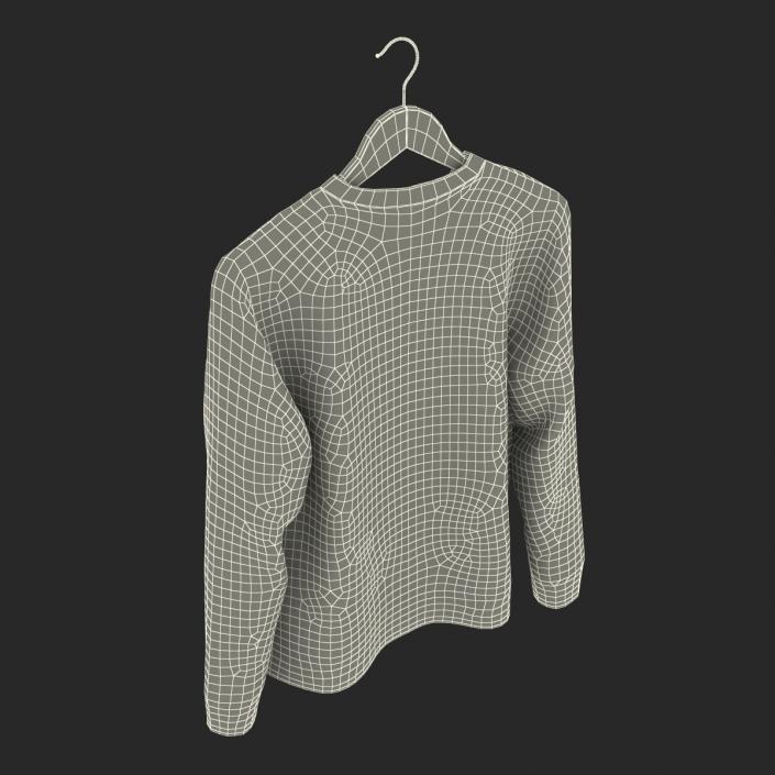 Sweater on Hanger 3D