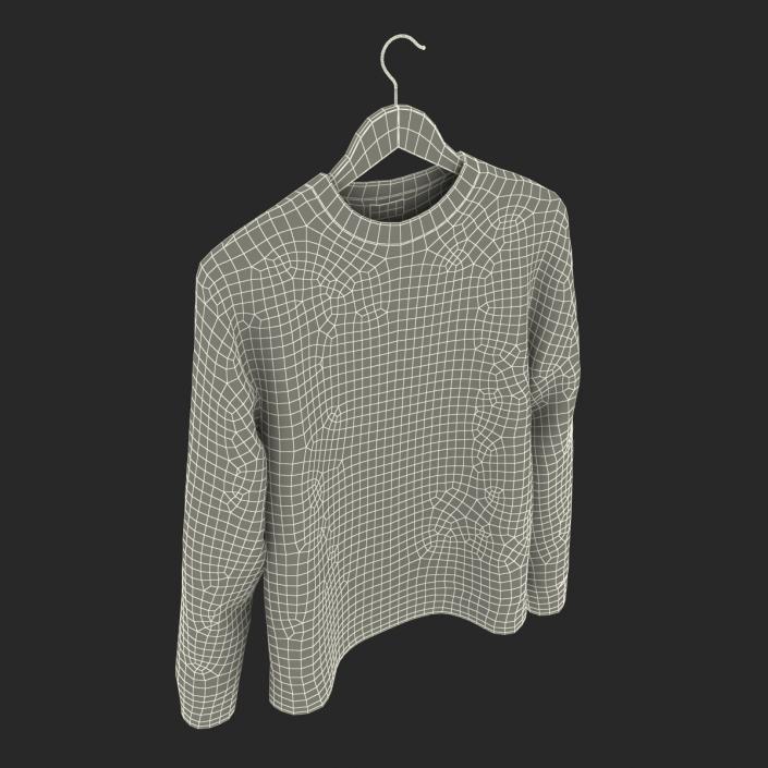 Sweater on Hanger 2 3D model