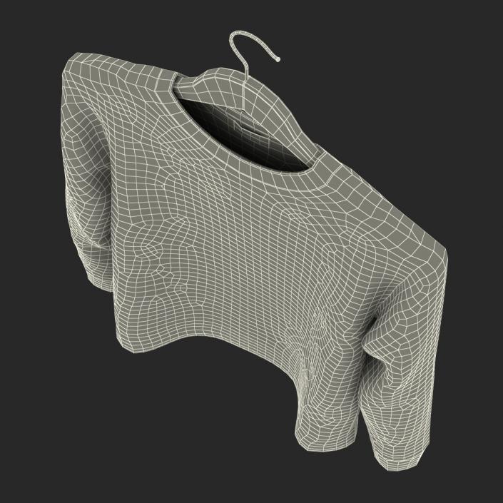 Sweater on Hanger 2 3D model