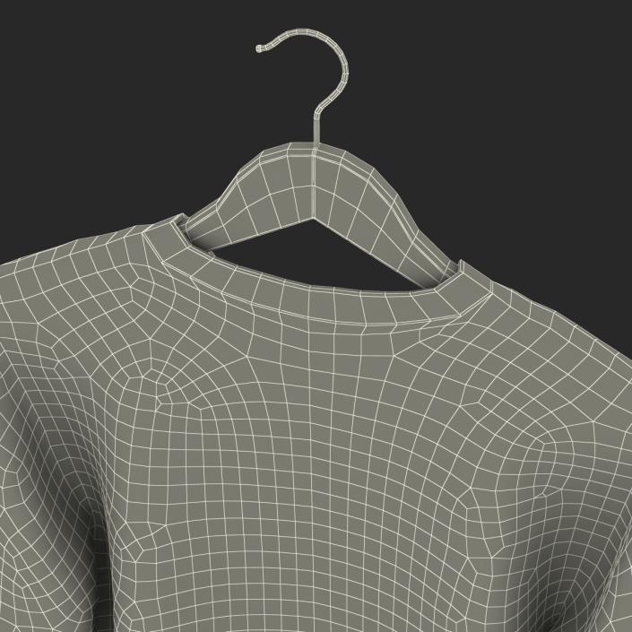 Sweater on Hanger 2 3D model