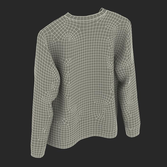 Sweater 3 3D model