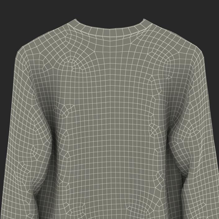 Sweater 3 3D model