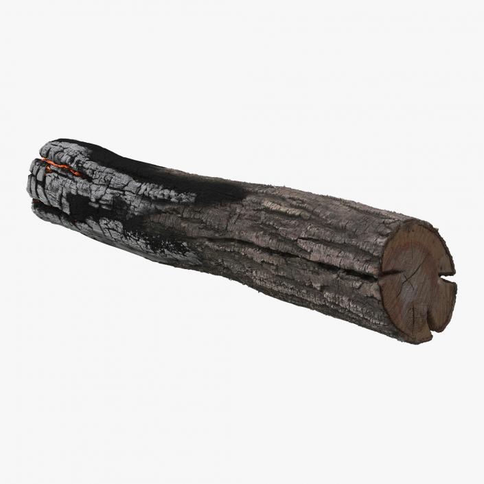 3D Charred Log