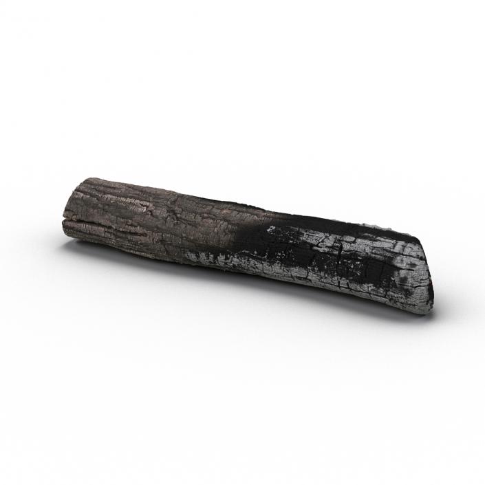 3D Charred Log