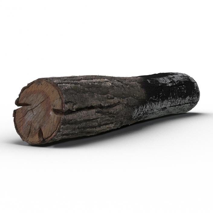 3D Charred Log