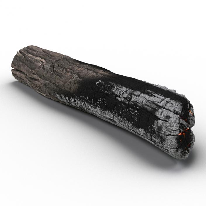 3D Charred Log