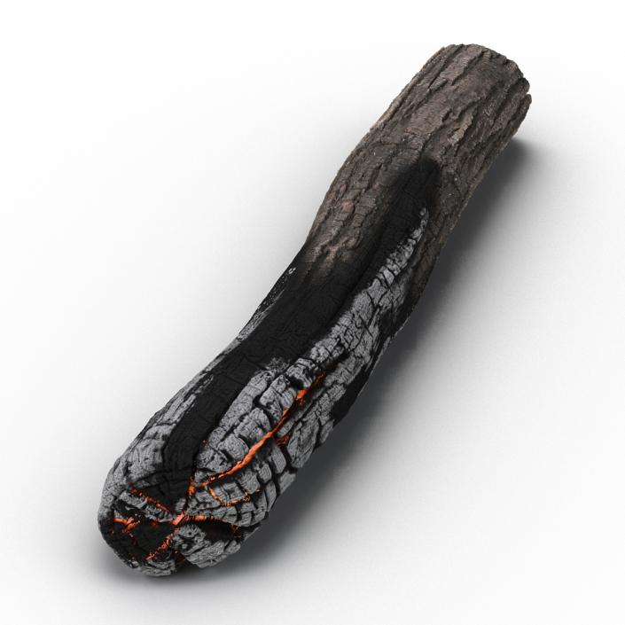 3D Charred Log