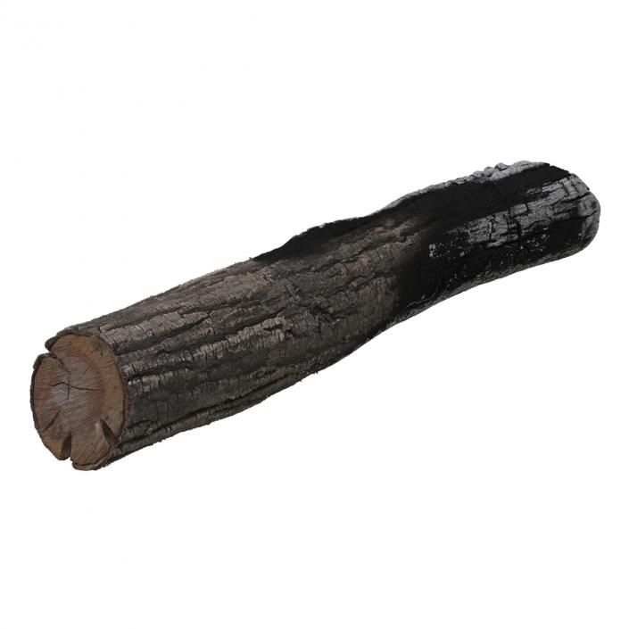 3D Charred Log