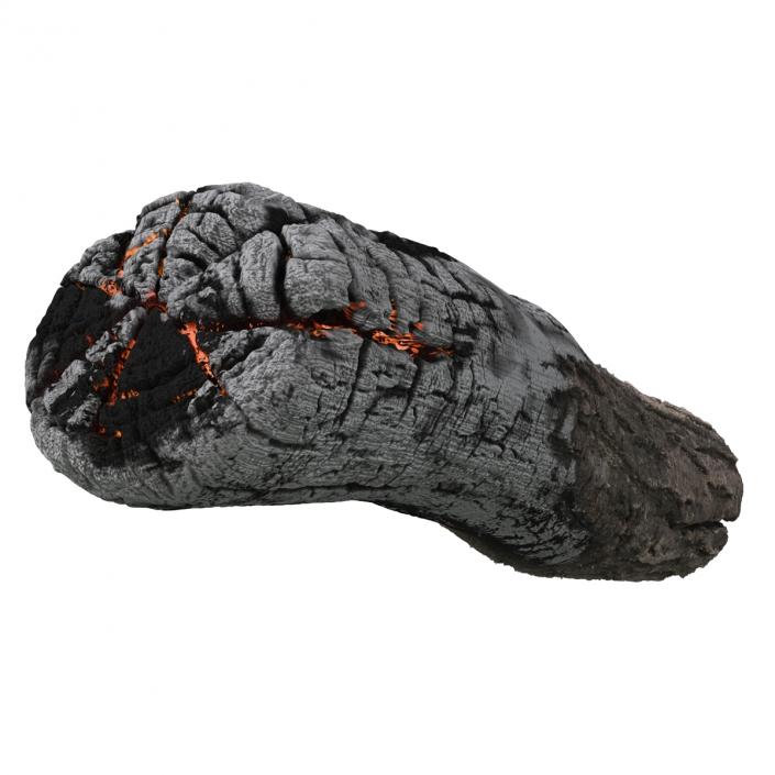 3D Charred Log