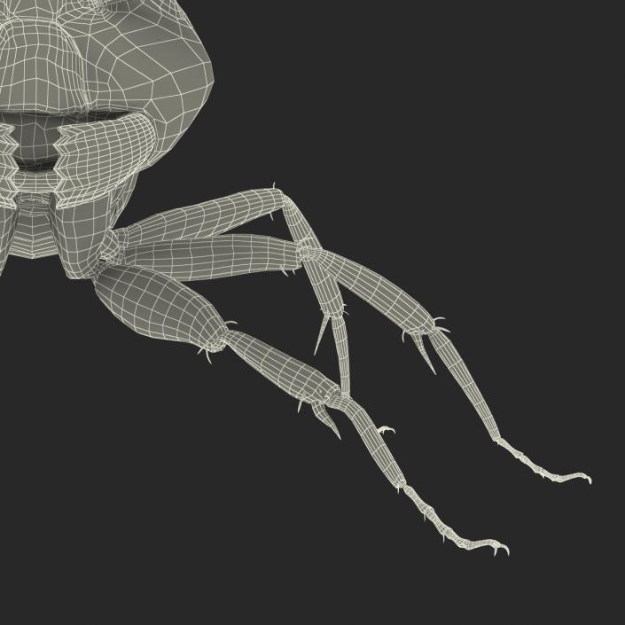 3D Black Ant Rigged