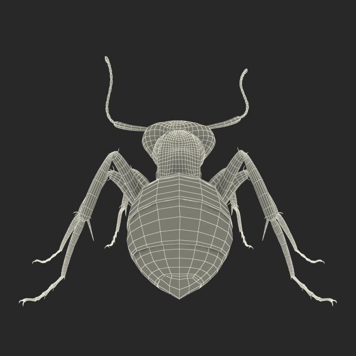 3D Black Ant Pose 2